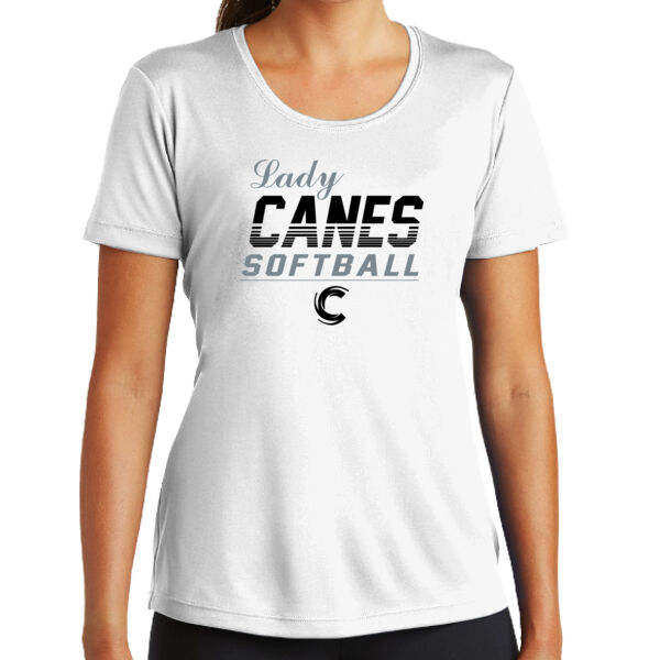 Ladies DriFit Tee Thumbnail